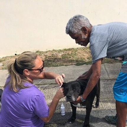 Operativo comunitario en Vieques