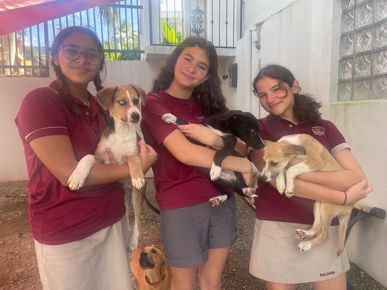 Jóvenes voluntarias de OBRA con perritos rescatados