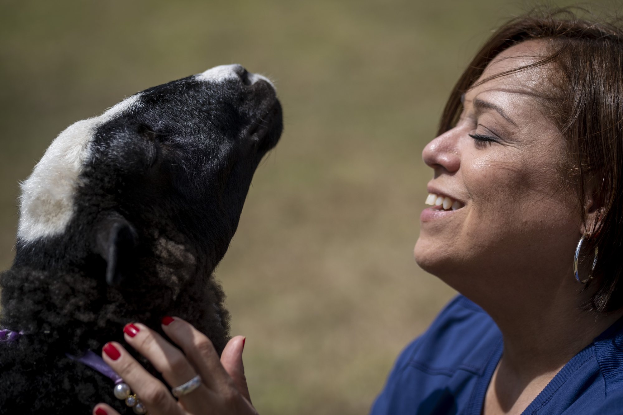 Mujer sonriendo junto a una oveja negra