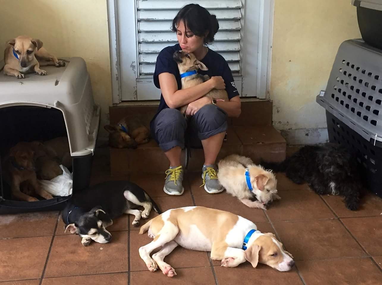 FePA volunteer with rescued dogs at a shelter