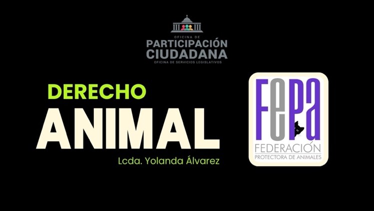 Webinar «Derecho Animal» con la Lcda. Yolanda Álvarez, presidenta de FePA